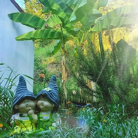 Hébergement de vacances Little Brioni