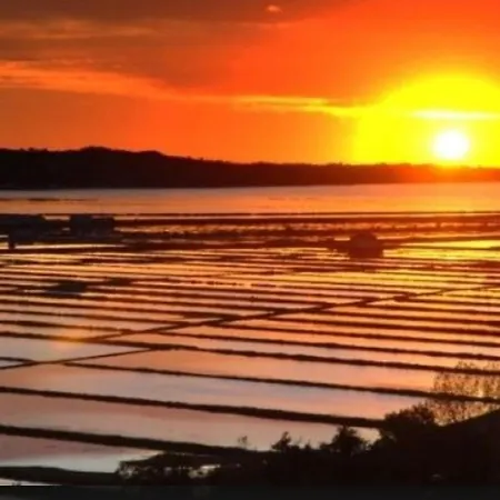 Hébergement de vacances Little Brioni Sečovlje