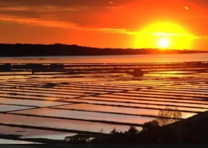 Σπίτι διακοπών Little Brioni Sečovlje